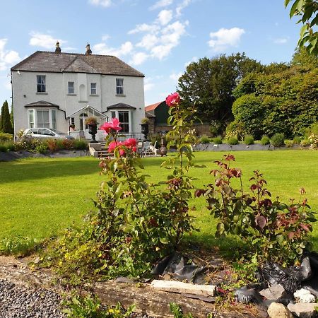 Mount Pleasant Country House Pensionat Lucan Exteriör bild