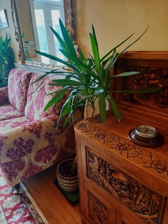 Mount Pleasant Country House Pensionat Lucan Exteriör bild