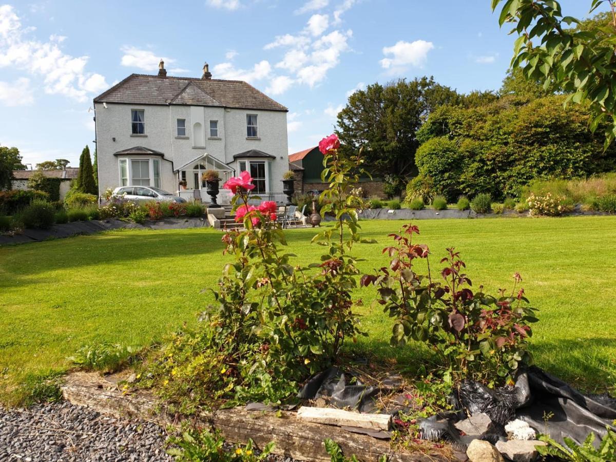 Mount Pleasant Country House Pensionat Lucan Exteriör bild