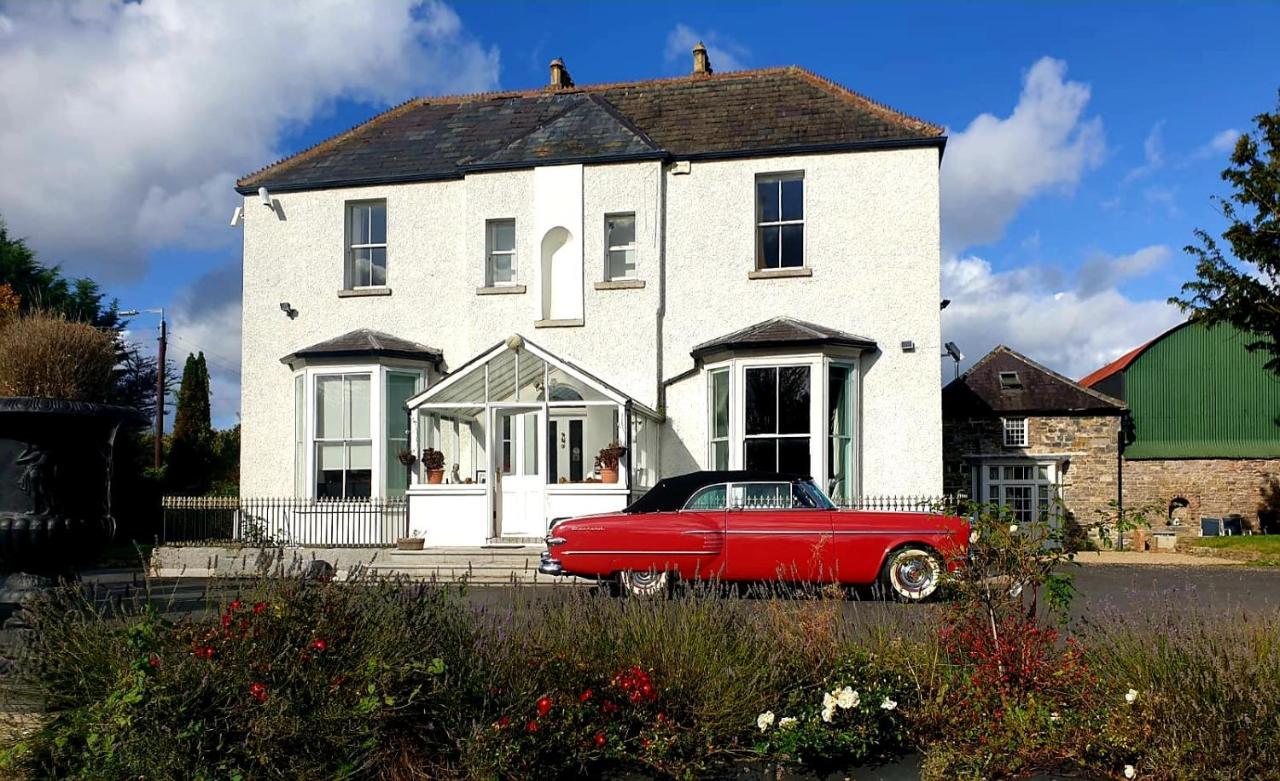 Mount Pleasant Country House Pensionat Lucan Exteriör bild