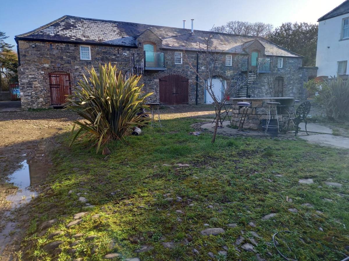 Mount Pleasant Country House Pensionat Lucan Exteriör bild