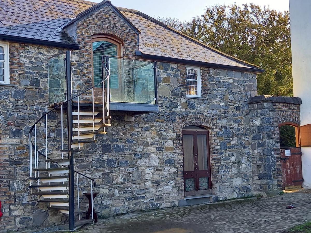 Mount Pleasant Country House Pensionat Lucan Exteriör bild