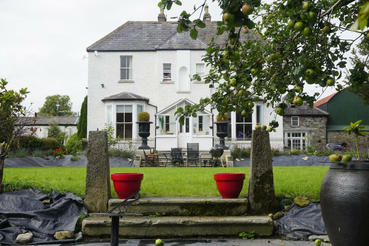 Mount Pleasant Country House Pensionat Lucan Exteriör bild