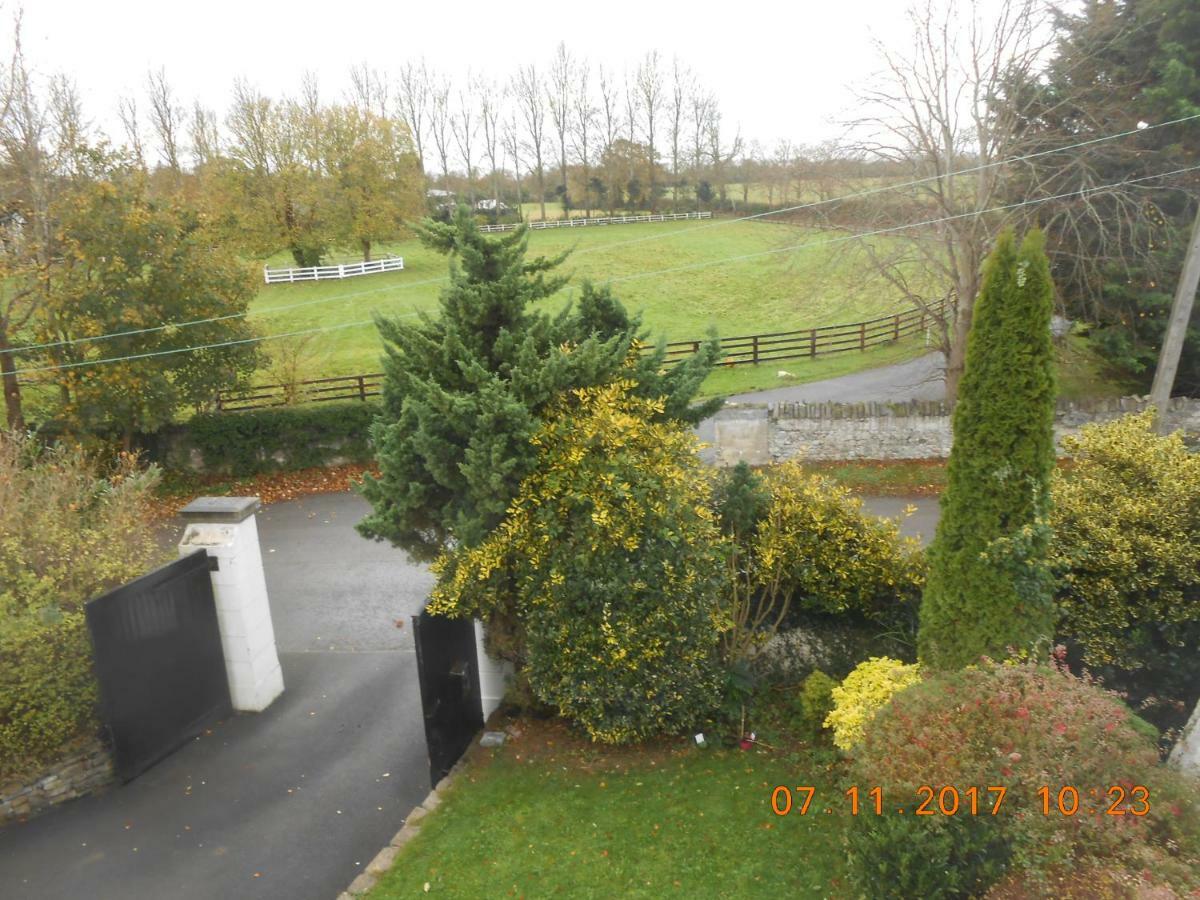 Mount Pleasant Country House Pensionat Lucan Exteriör bild
