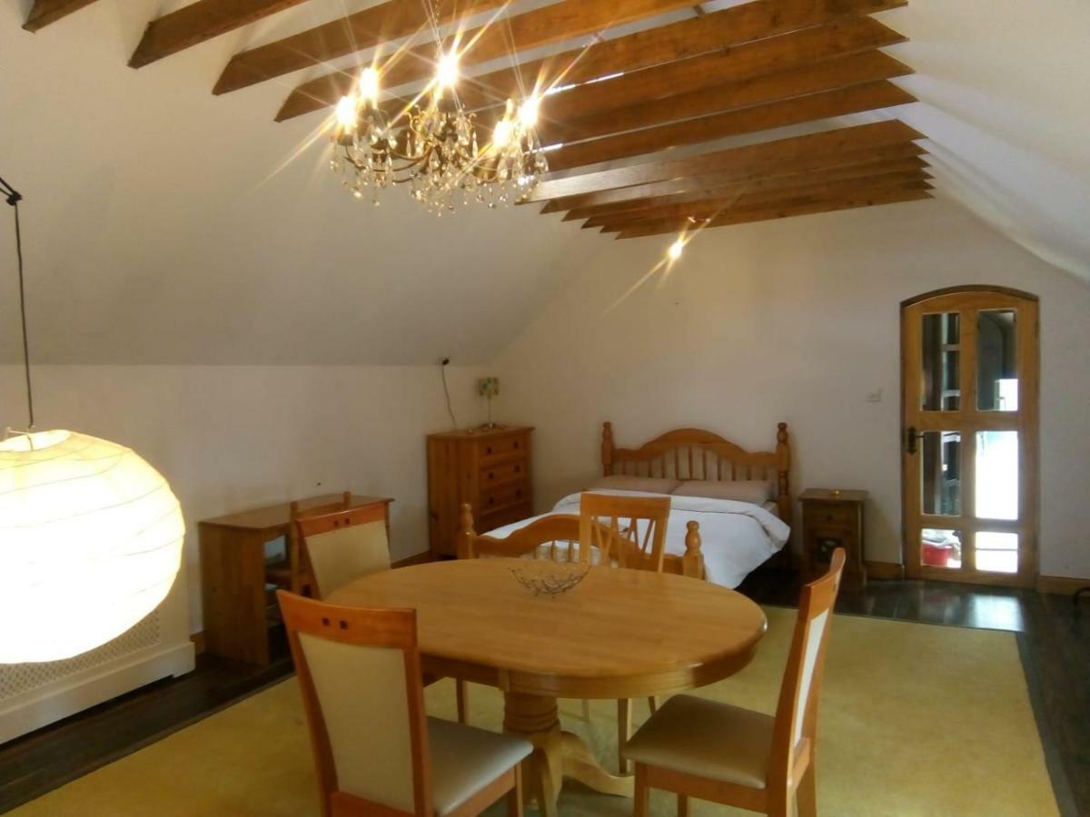 Mount Pleasant Country House Pensionat Lucan Exteriör bild